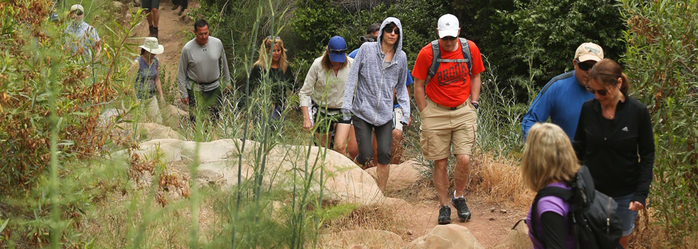 event attendees enjoying an outdoor hike in the mountains